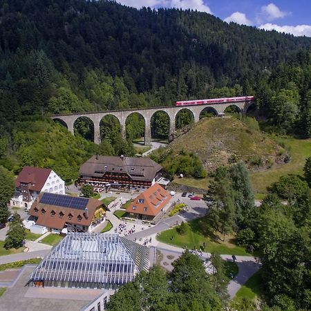 Hotel Hofgut Sternen - Wohnen In Kunst Und Kultur Breitnau Eksteriør billede